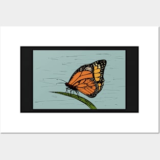 Monarch Butterfly Sketch Posters and Art